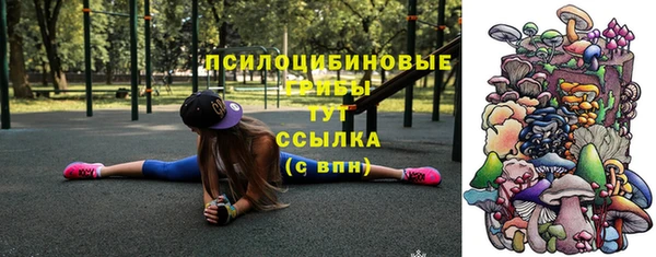 МДМА Белокуриха